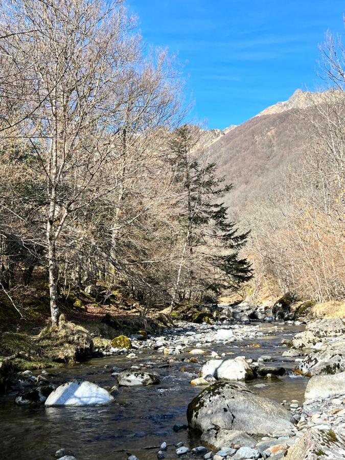 فيلا La Bergerie Marie Saint-Aventin المظهر الخارجي الصورة