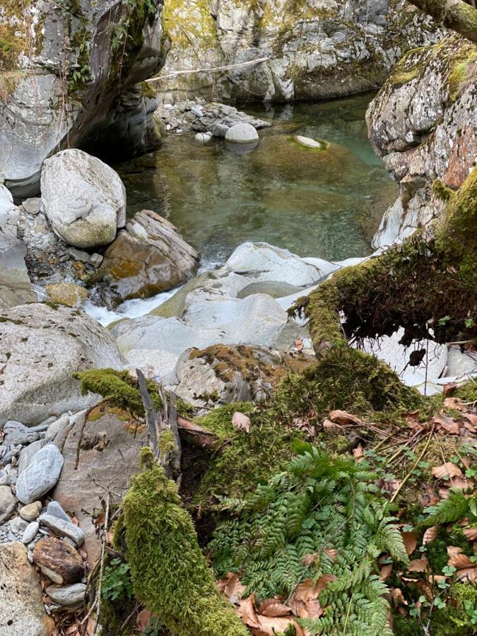 فيلا La Bergerie Marie Saint-Aventin المظهر الخارجي الصورة